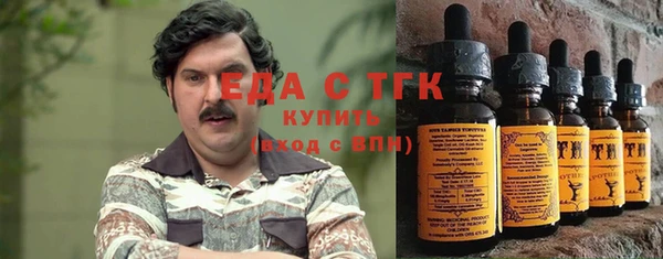 дживик Верхний Тагил