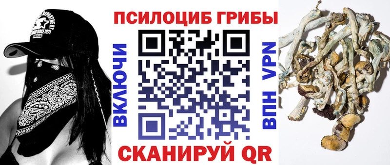 omg ONION  Чёрмоз  Галлюциногенные грибы мицелий 